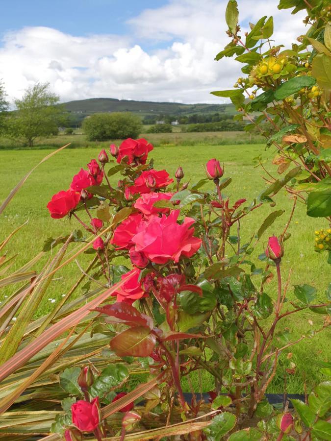 Bed and Breakfast Los Molinos Tralee Zewnętrze zdjęcie